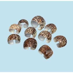 Vintage Tiger Cowrie Seashell Napkin Rings Leopard Spot Set of 10